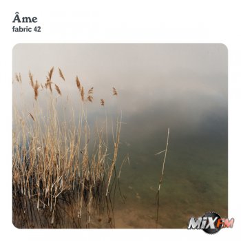 Fabric 42 mixed by Ame